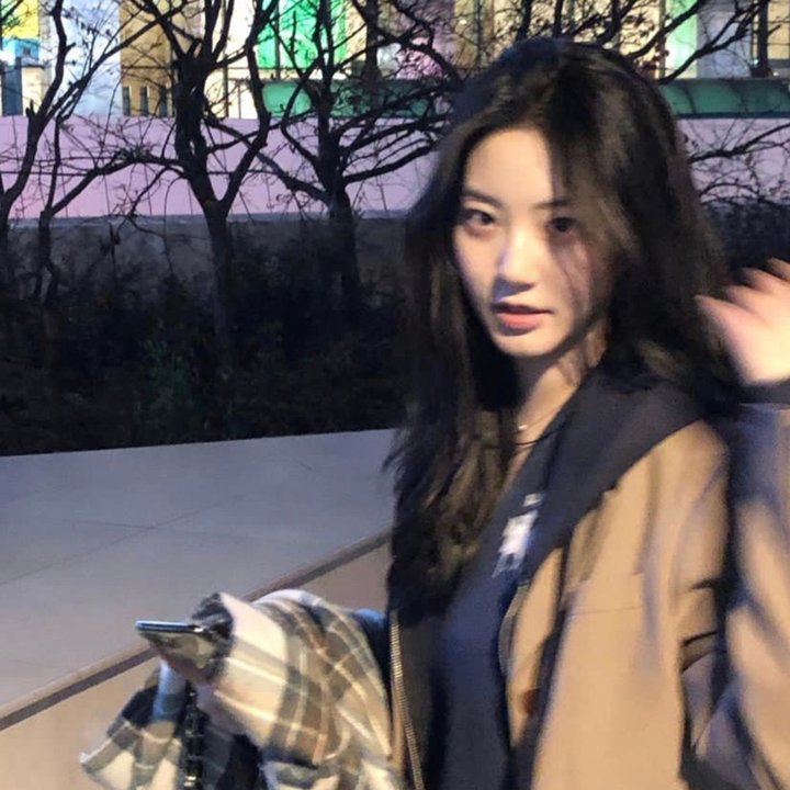 女人树